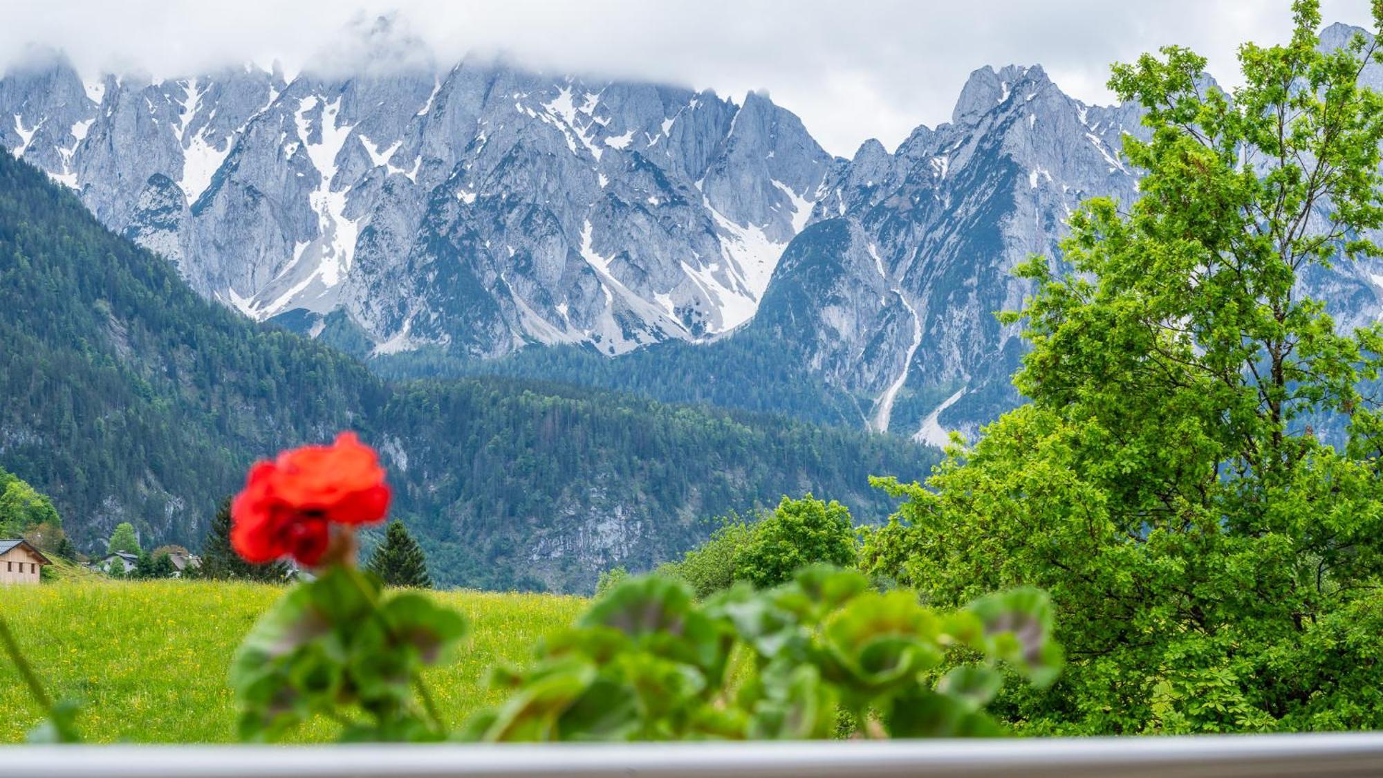 Haus Friedrich Hotel Gosau Exterior photo